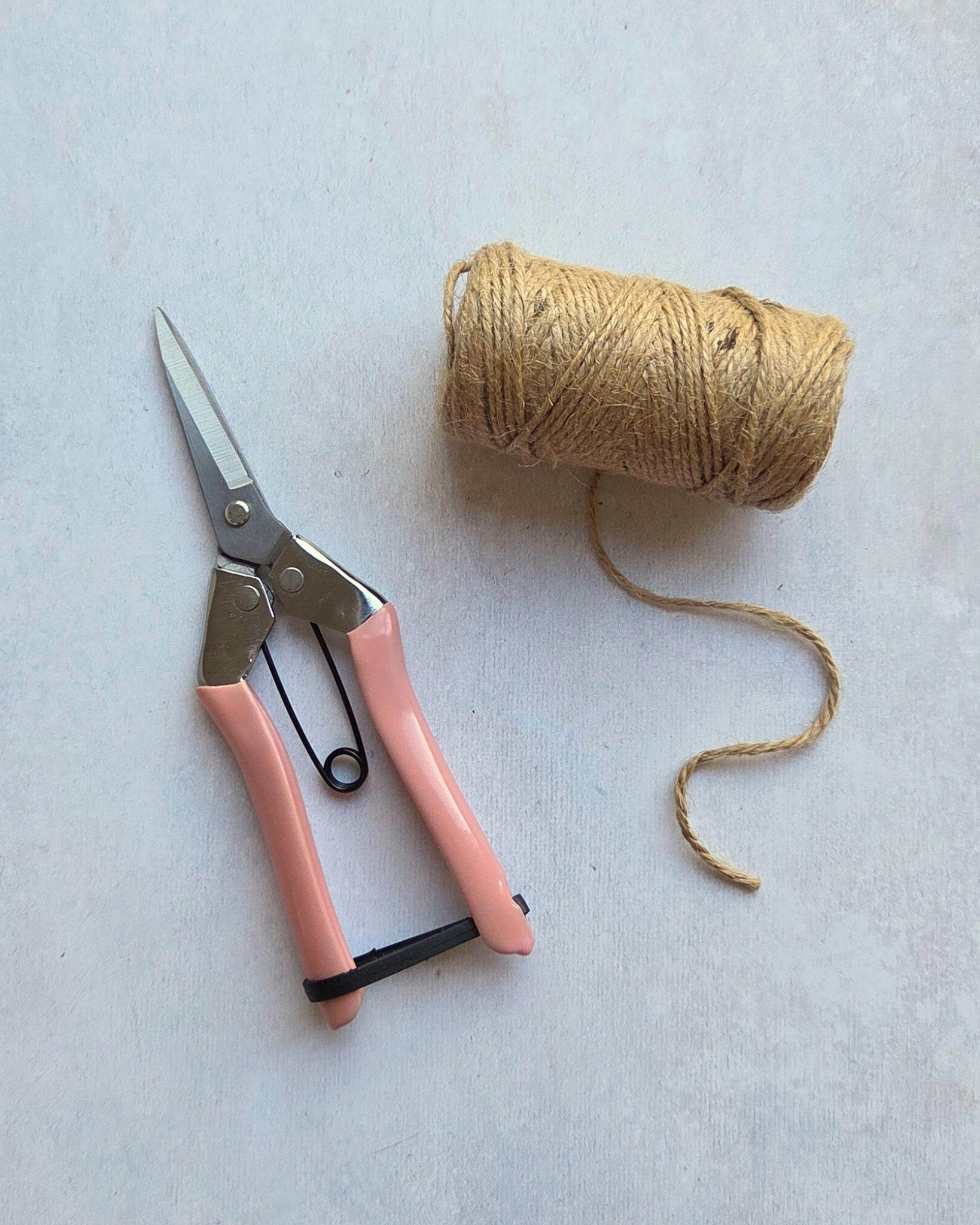 Burgon & Ball Flower Snips for cutting Sweet Pea flowers, shown with a ball of jute twine