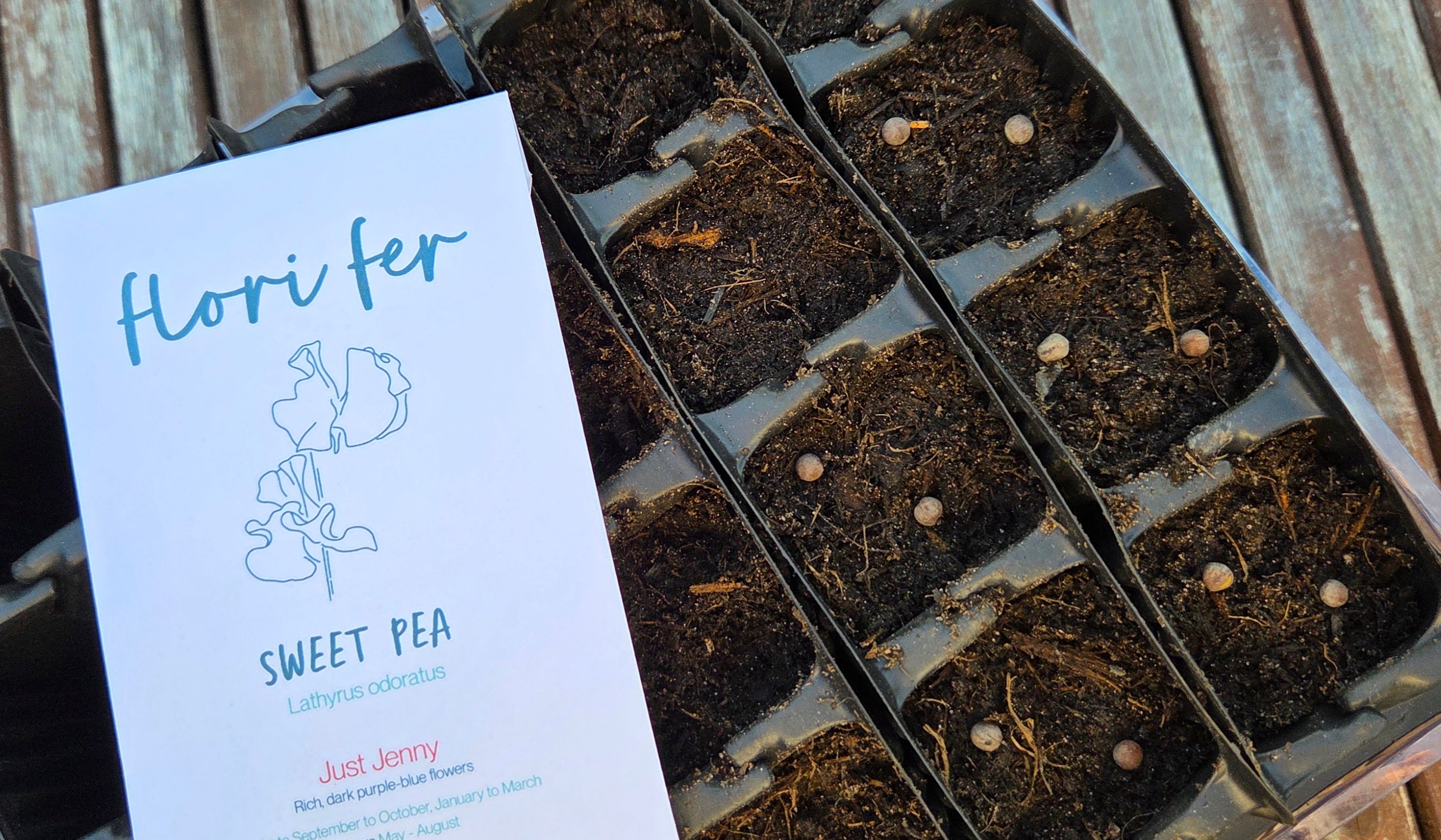 Rootrainer pots filled with compost and Sweet Pea Seeds with a packet of Flori Fer Sweet Pea Just Jenny Seeds
