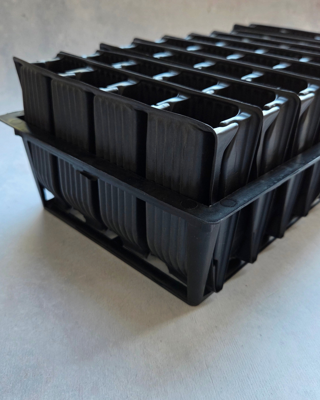 Sweet Pea Deep Rootrainers 24 Pack in a tray